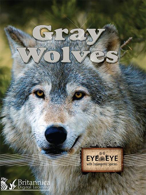 Gray Wolves [electronic resource].